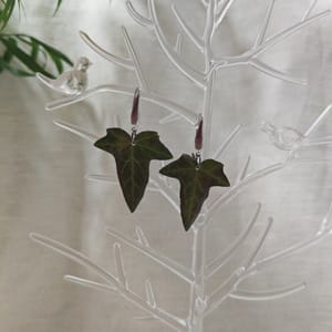 Cercei Iedera - Thumbnail 1